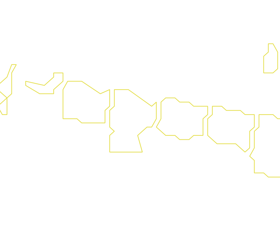 Daksegment ingezoomd met contourlijnen en structuurweergave