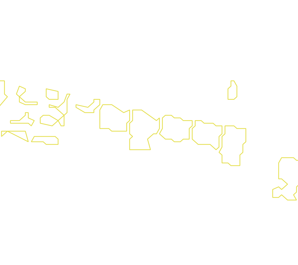 Daksegment met contourlijnen en structuurweergave