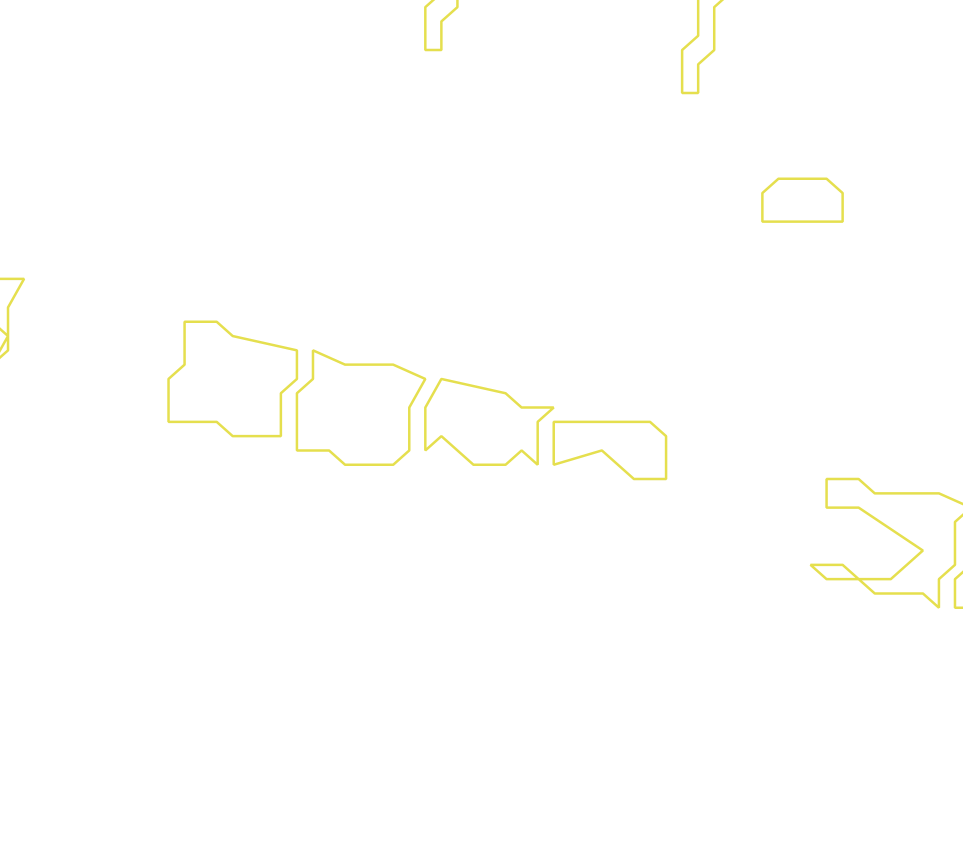 Daksegment ingezoomd met contourlijnen en structuurweergave