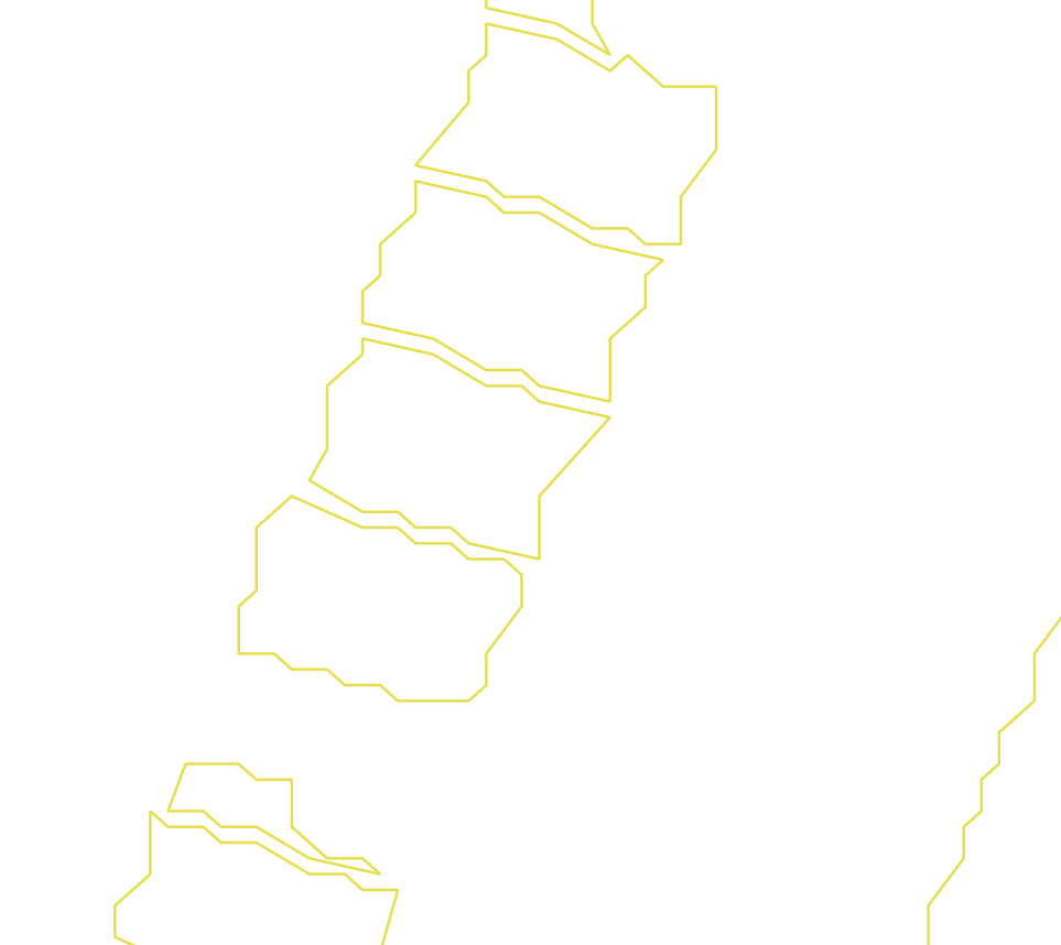 Daksegment ingezoomd met contourlijnen en structuurweergave