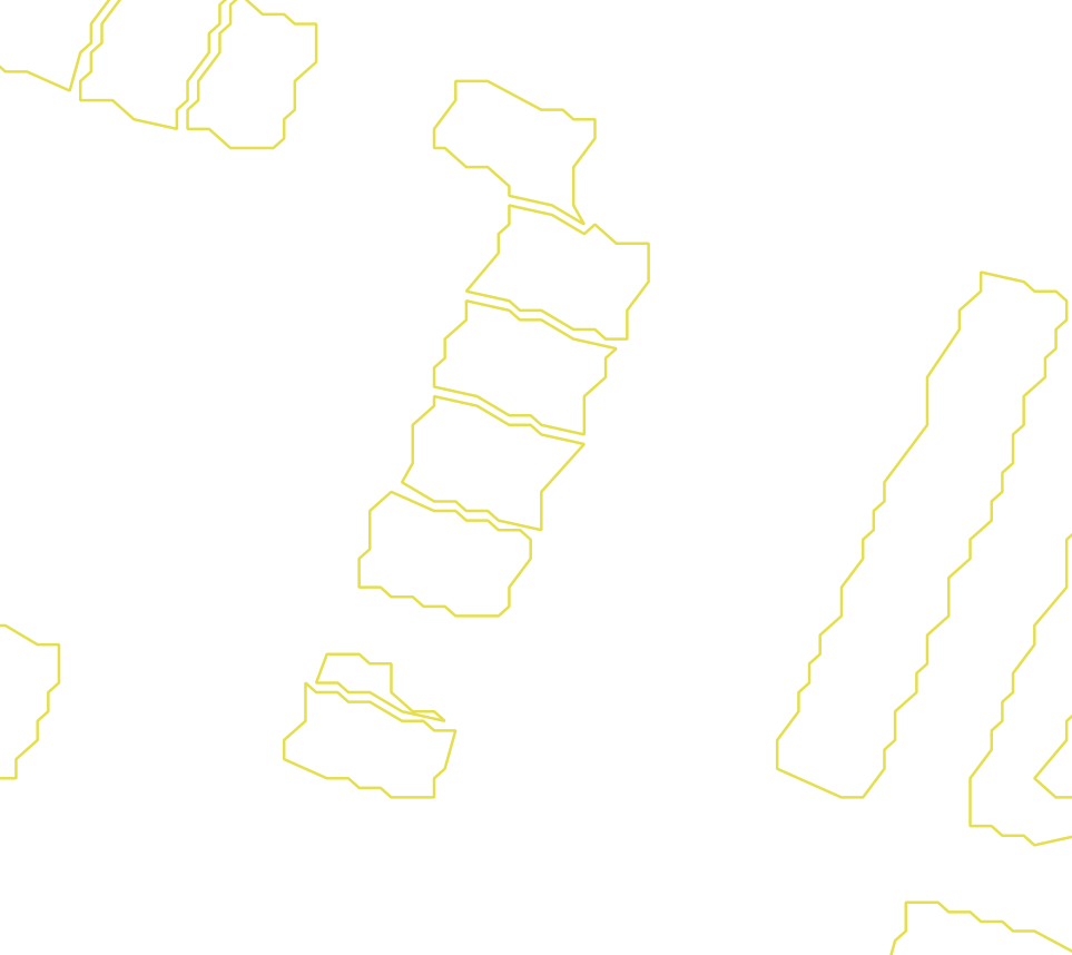 Daksegment met contourlijnen en structuurweergave
