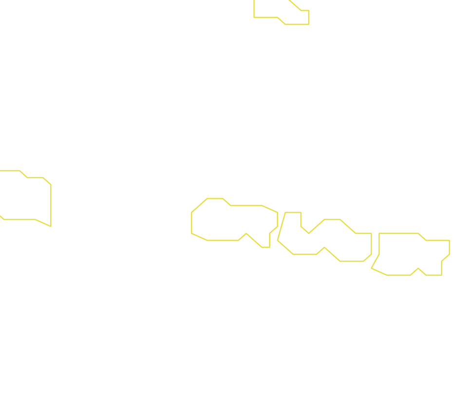 Daksegment ingezoomd met contourlijnen en structuurweergave
