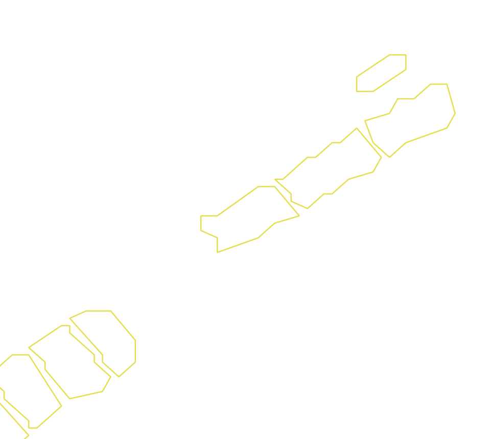 Daksegment ingezoomd met contourlijnen en structuurweergave