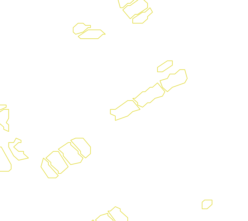 Daksegment met contourlijnen en structuurweergave