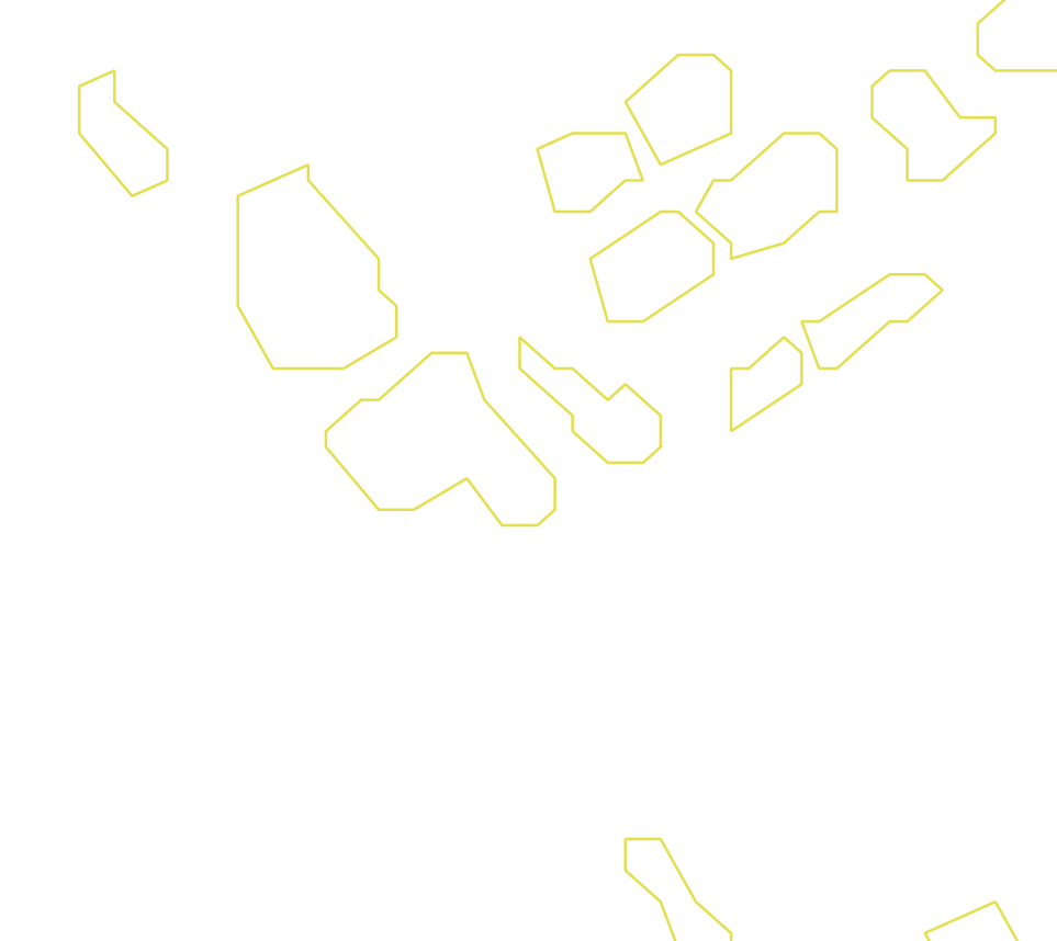 Daksegment ingezoomd met contourlijnen en structuurweergave
