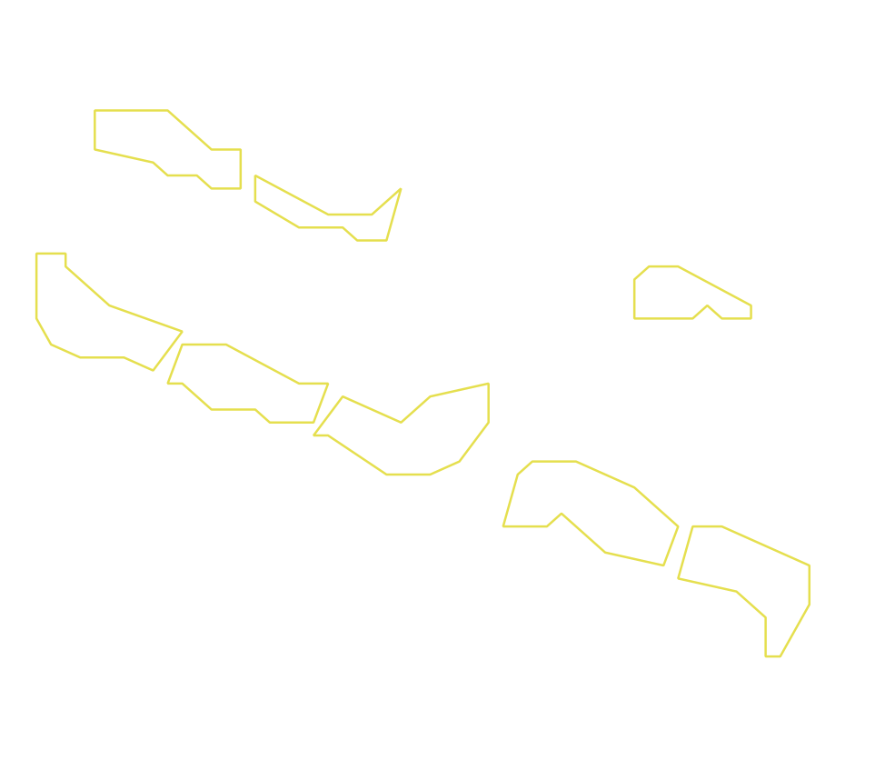 Daksegment ingezoomd met contourlijnen en structuurweergave