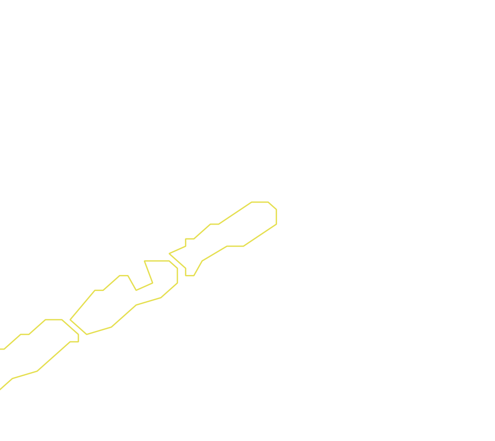 Daksegment ingezoomd met contourlijnen en structuurweergave