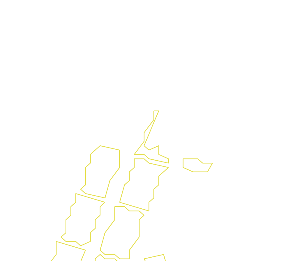 Daksegment ingezoomd met contourlijnen en structuurweergave