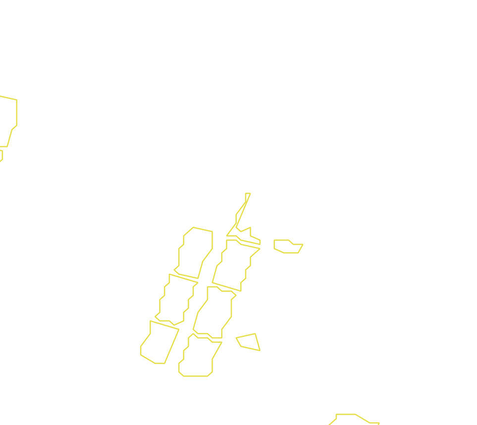 Daksegment met contourlijnen en structuurweergave