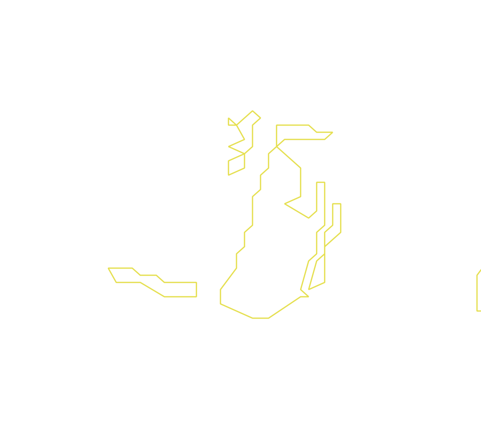 Daksegment ingezoomd met contourlijnen en structuurweergave