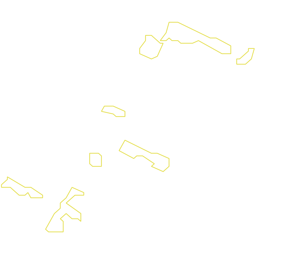 Daksegment met contourlijnen en structuurweergave