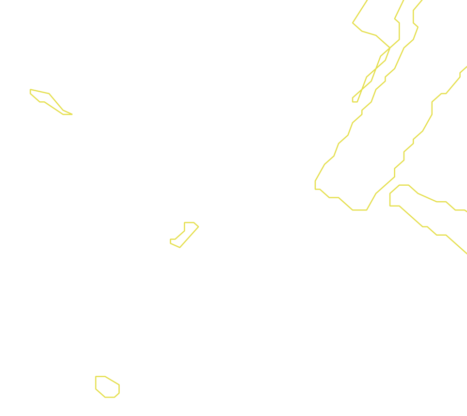Daksegment met contourlijnen en structuurweergave