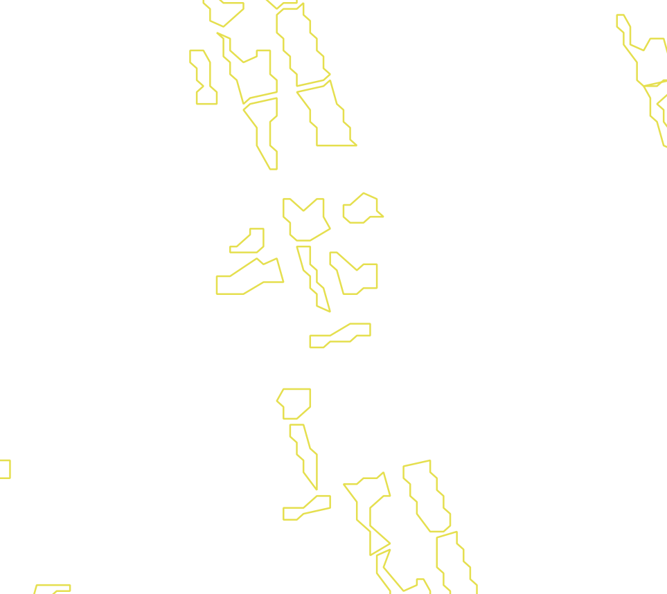 Daksegment met contourlijnen en structuurweergave