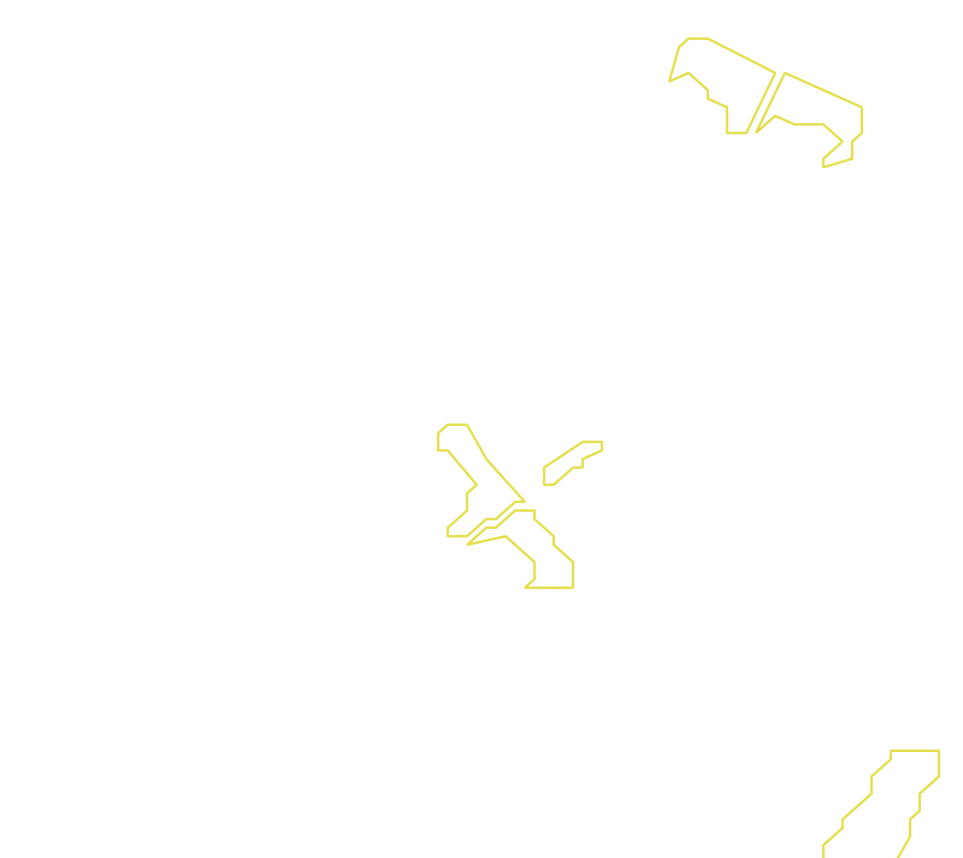 Daksegment met contourlijnen en structuurweergave