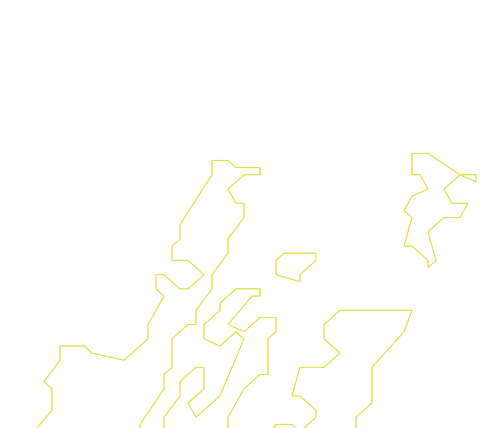Daksegment ingezoomd met contourlijnen en structuurweergave