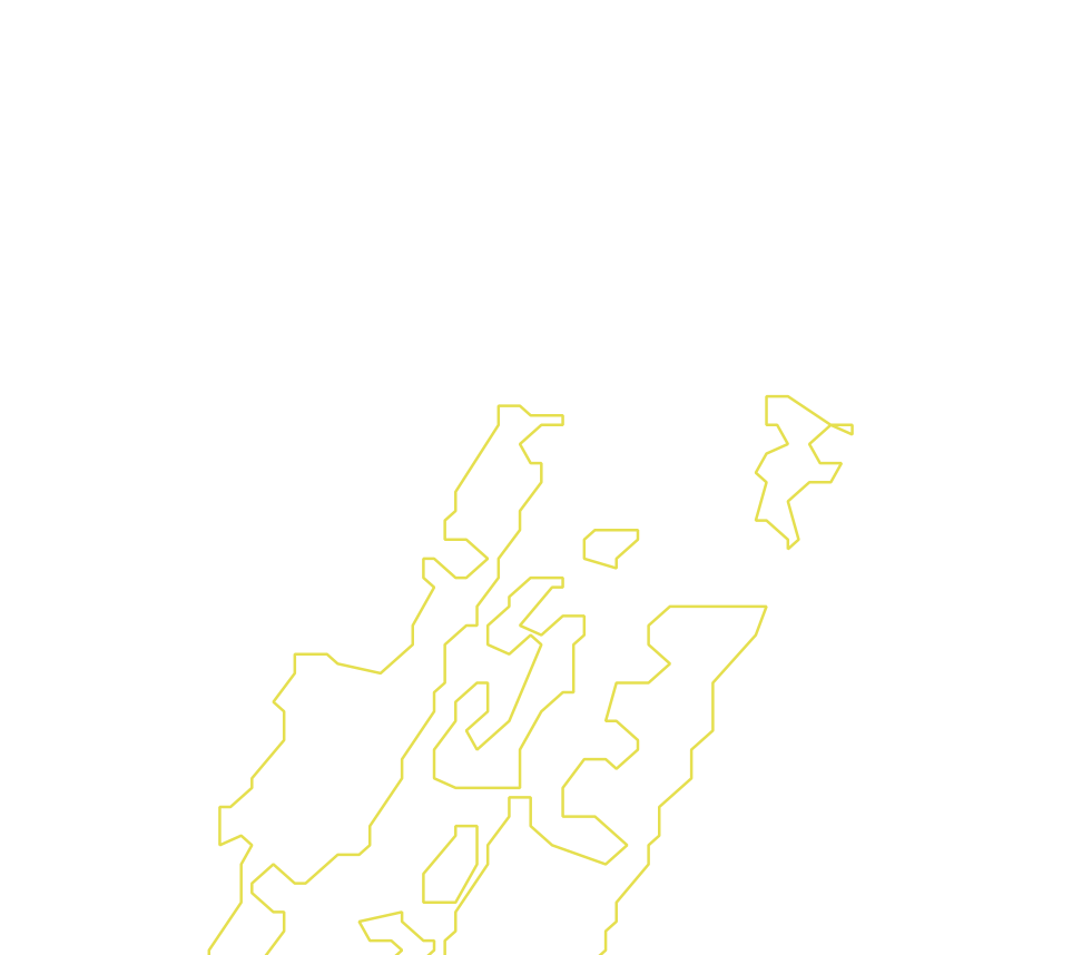 Daksegment met contourlijnen en structuurweergave