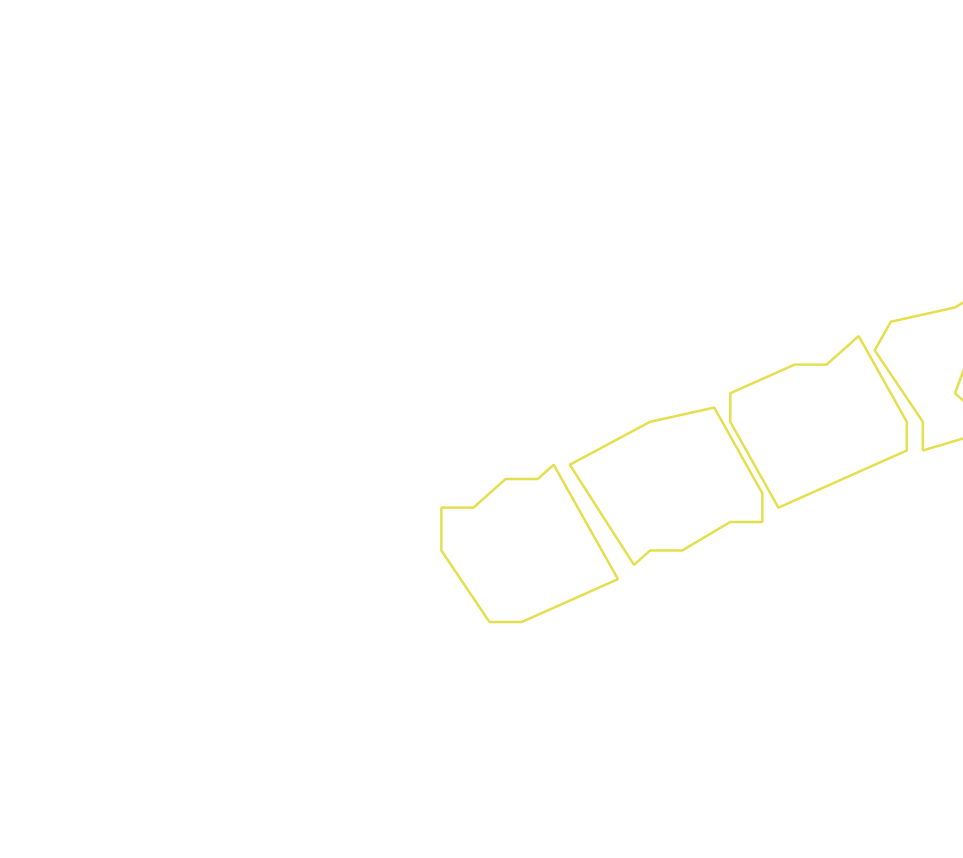 Daksegment ingezoomd met contourlijnen en structuurweergave