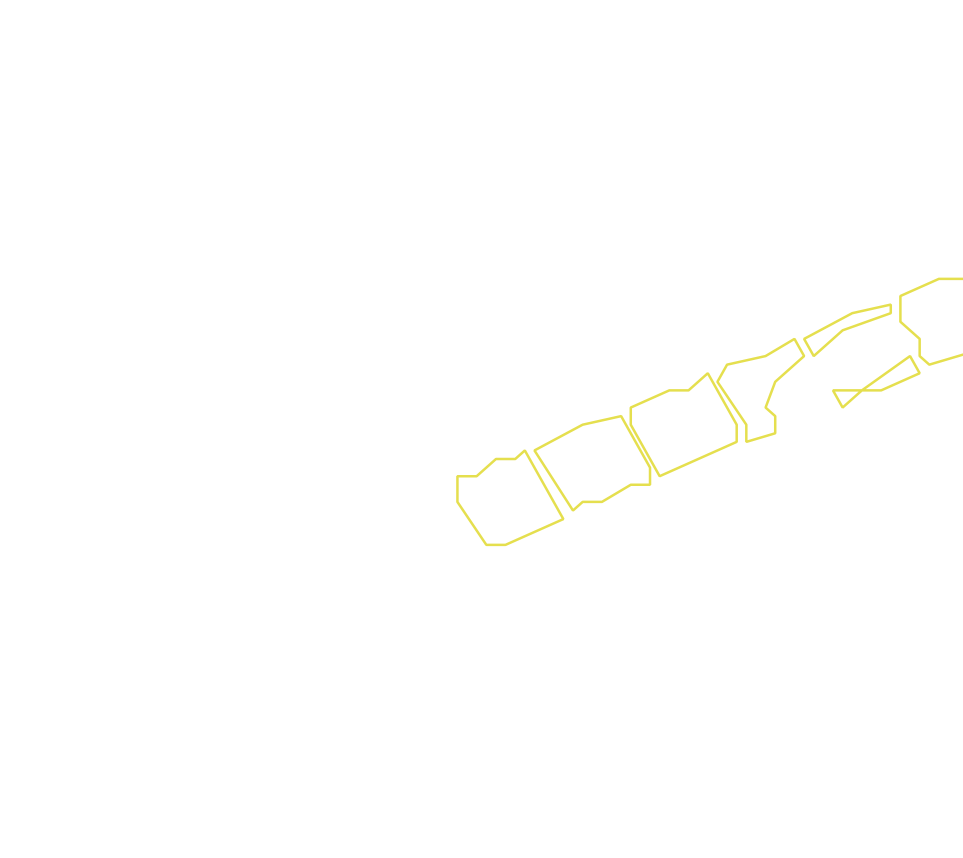 Daksegment met contourlijnen en structuurweergave