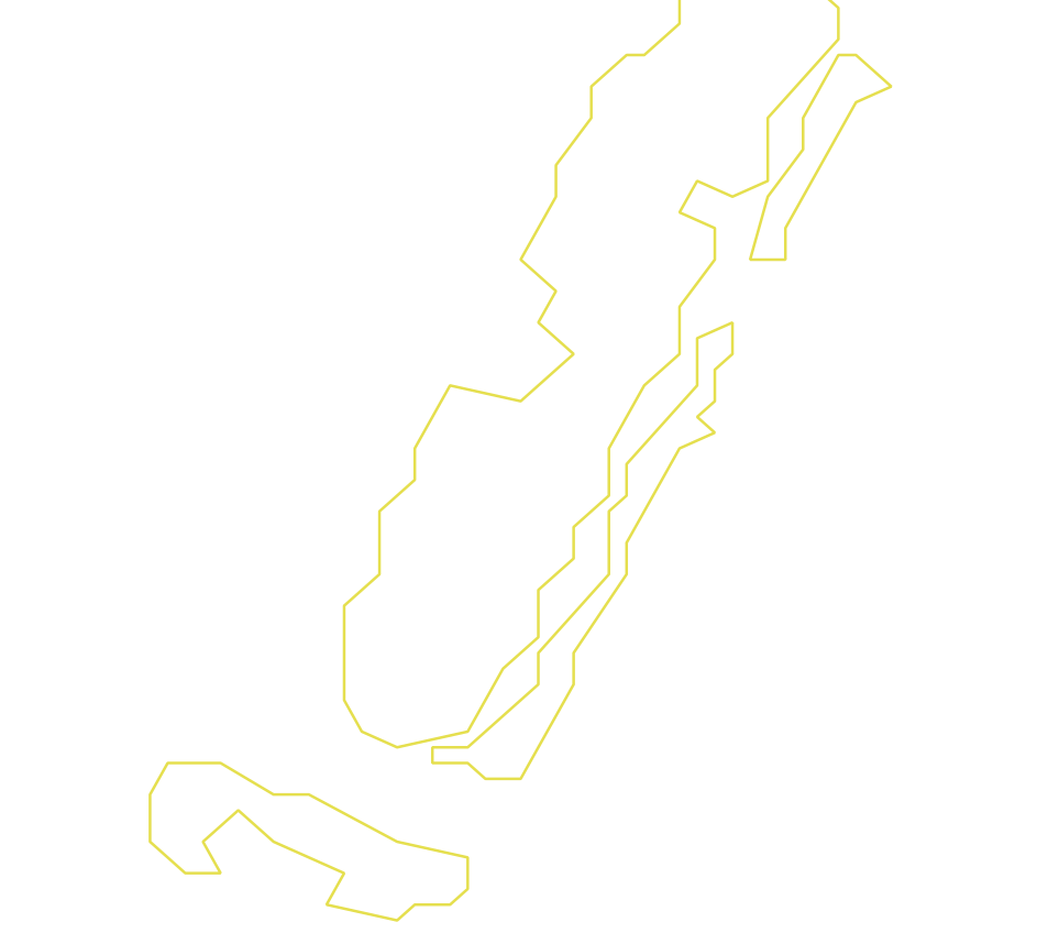 Daksegment ingezoomd met contourlijnen en structuurweergave