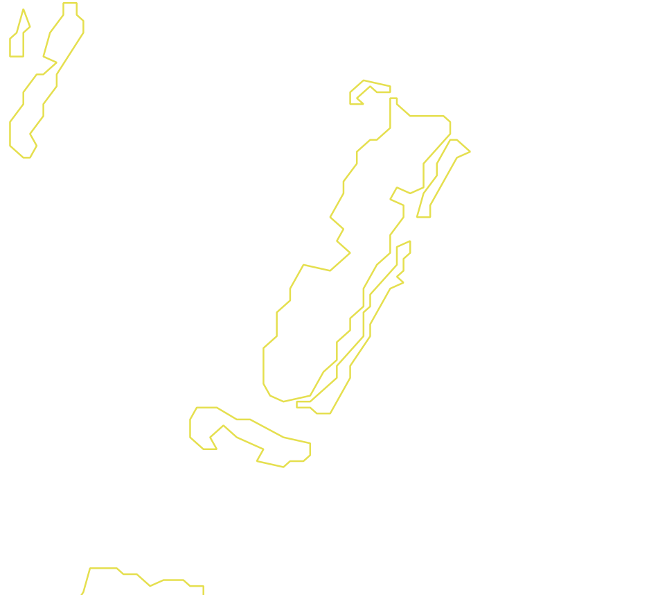 Daksegment met contourlijnen en structuurweergave