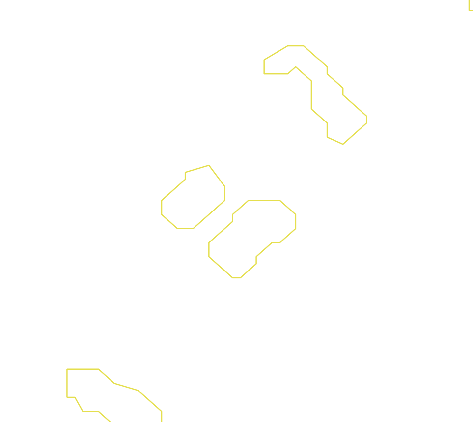 Daksegment ingezoomd met contourlijnen en structuurweergave