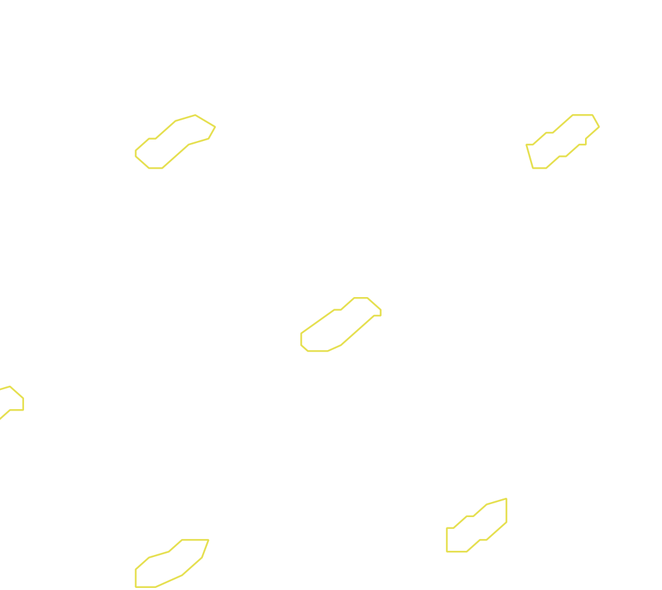 Daksegment met contourlijnen en structuurweergave