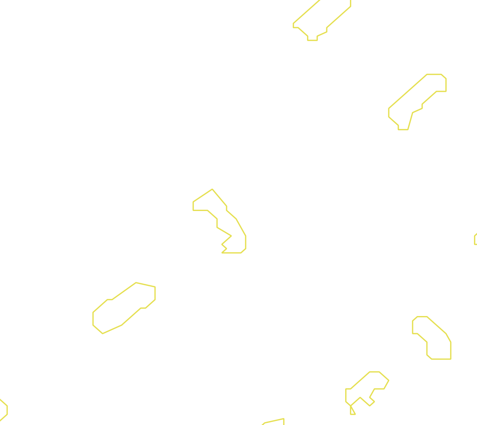 Daksegment met contourlijnen en structuurweergave