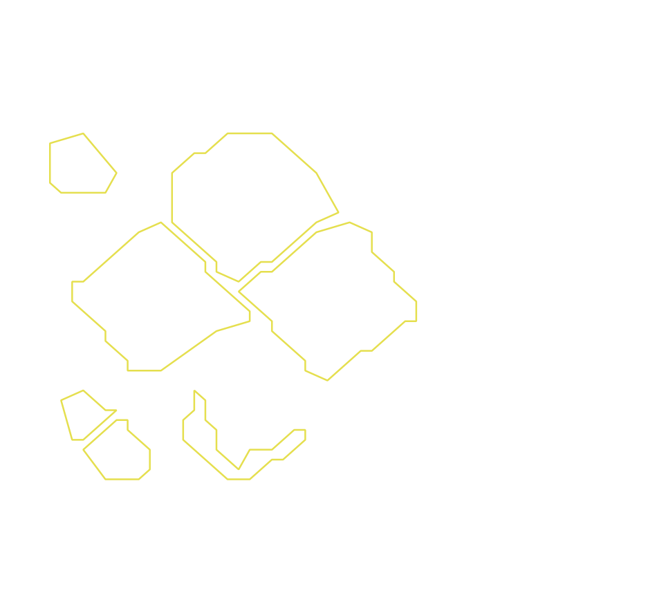 Daksegment ingezoomd met contourlijnen en structuurweergave