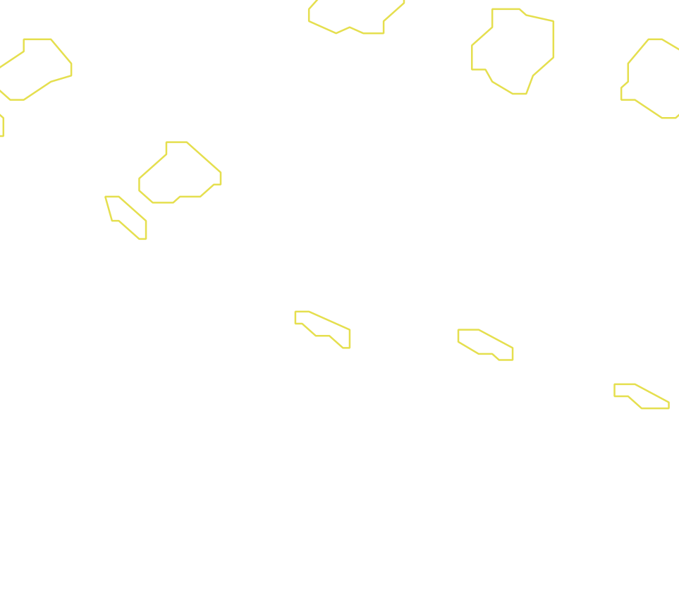 Daksegment met contourlijnen en structuurweergave
