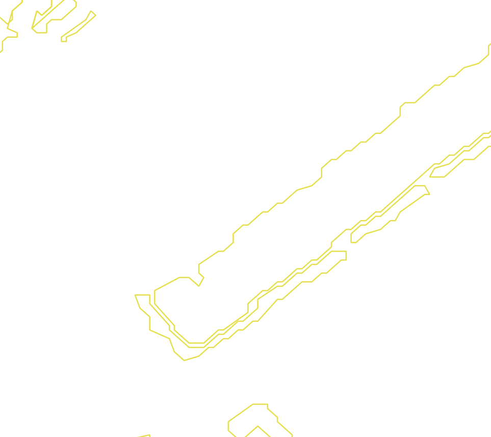 Daksegment met contourlijnen en structuurweergave
