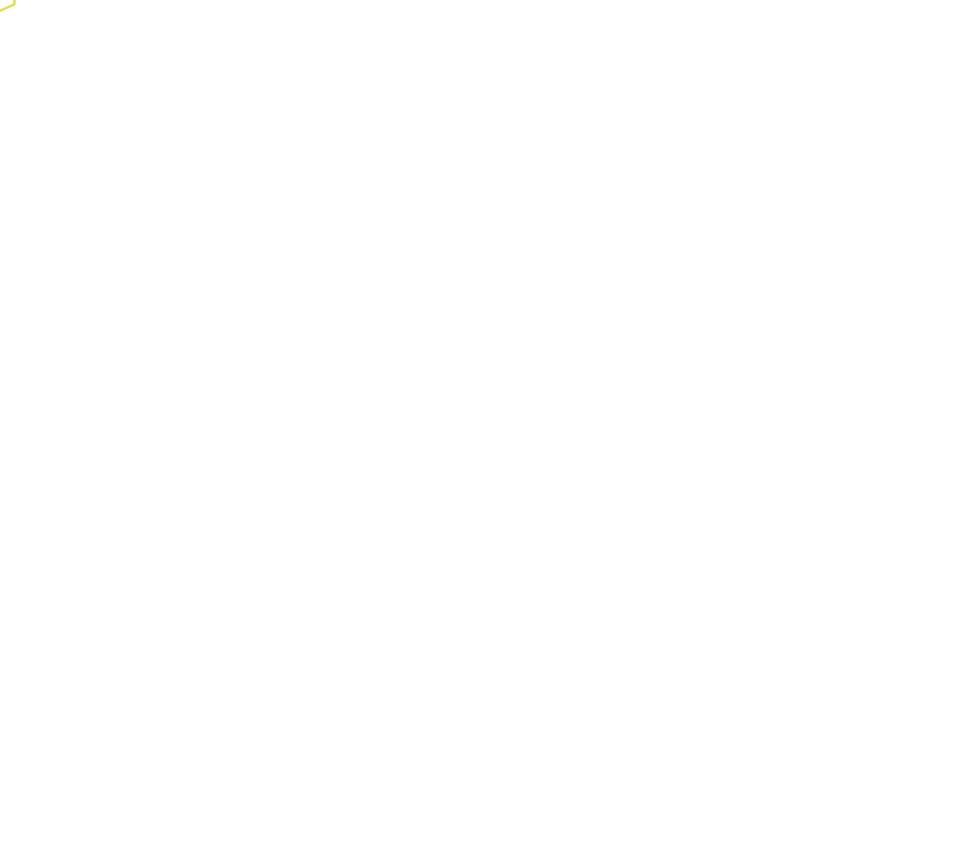 Daksegment met contourlijnen en structuurweergave