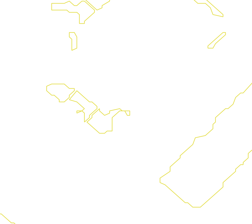 Daksegment met contourlijnen en structuurweergave