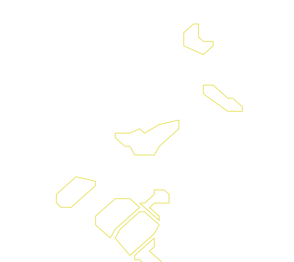 Daksegment ingezoomd met contourlijnen en structuurweergave