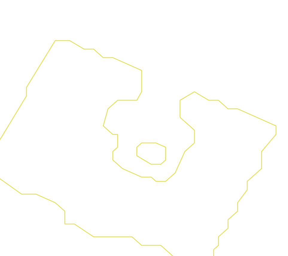 Daksegment ingezoomd met contourlijnen en structuurweergave