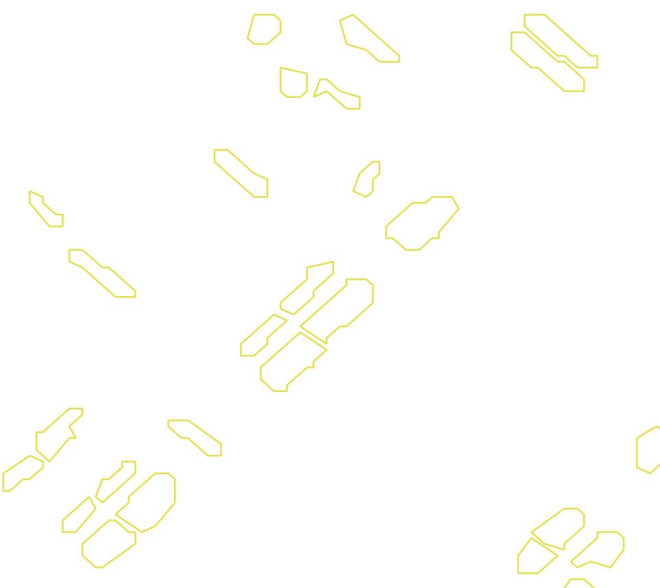 Daksegment met contourlijnen en structuurweergave