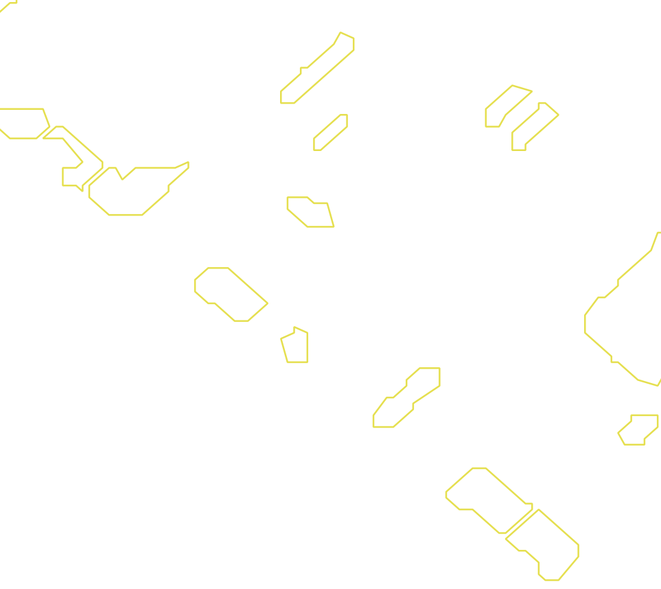 Daksegment met contourlijnen en structuurweergave