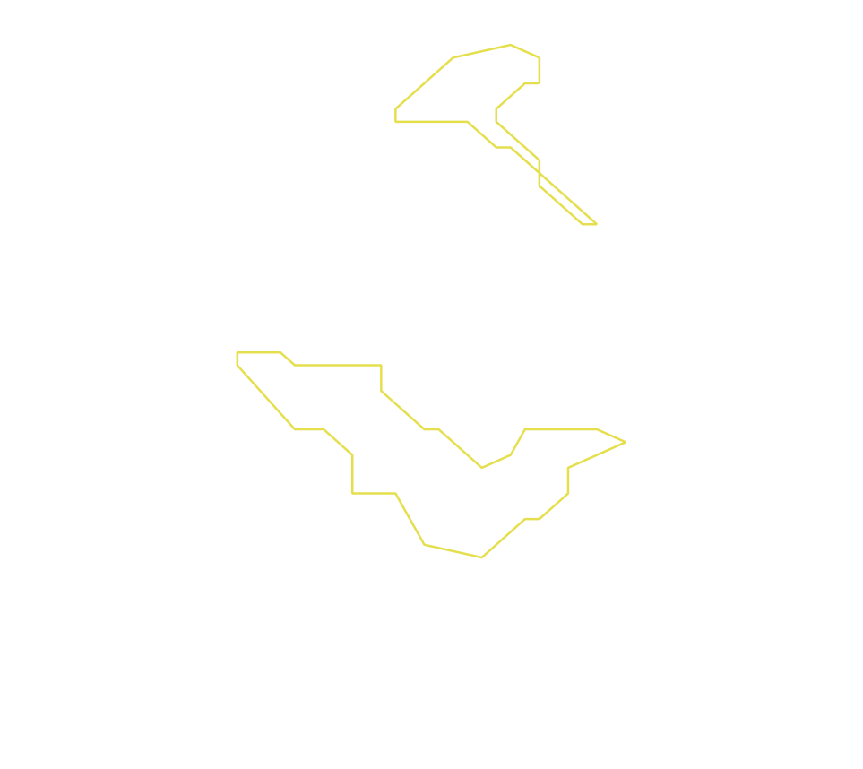 Daksegment ingezoomd met contourlijnen en structuurweergave