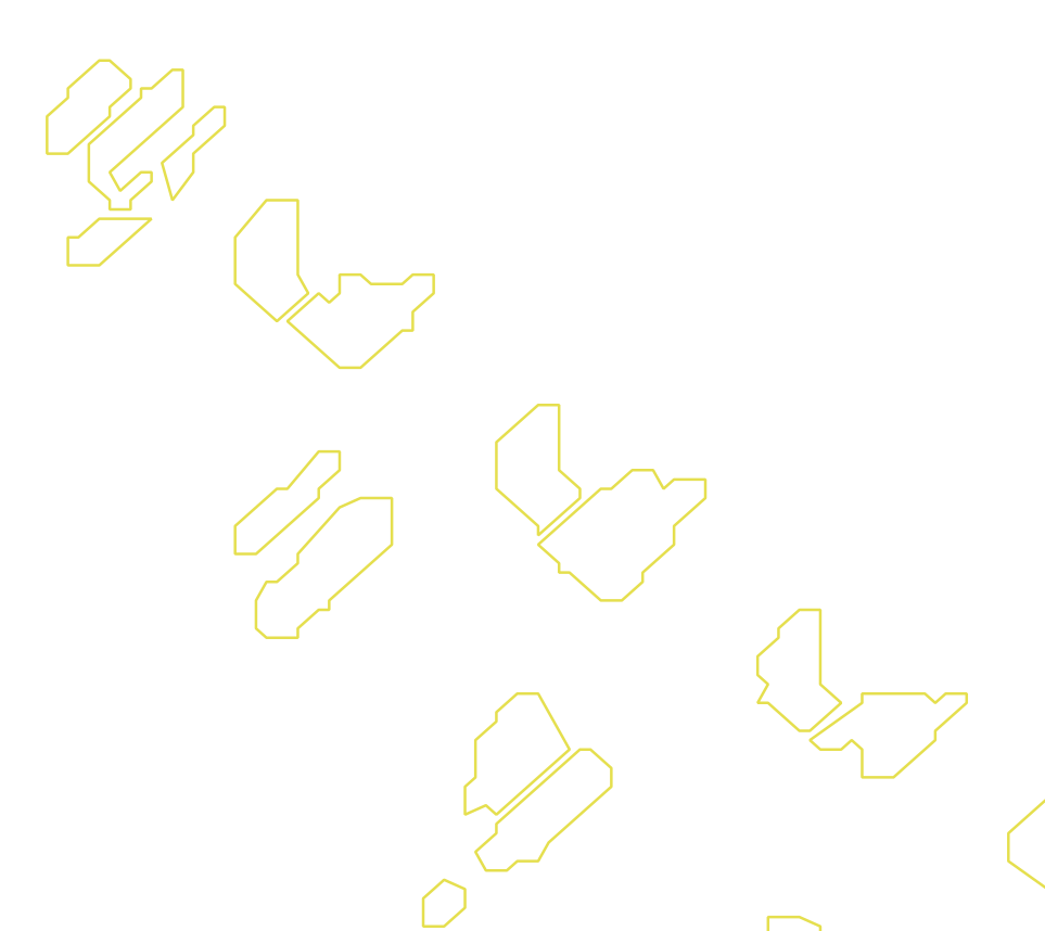 Daksegment met contourlijnen en structuurweergave