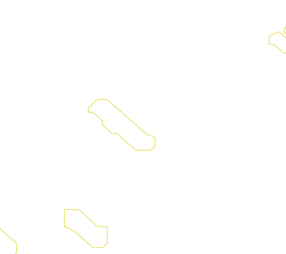 Daksegment ingezoomd met contourlijnen en structuurweergave