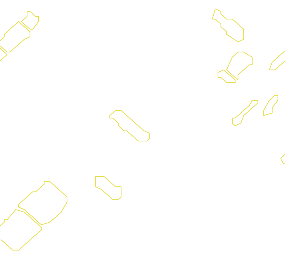 Daksegment met contourlijnen en structuurweergave