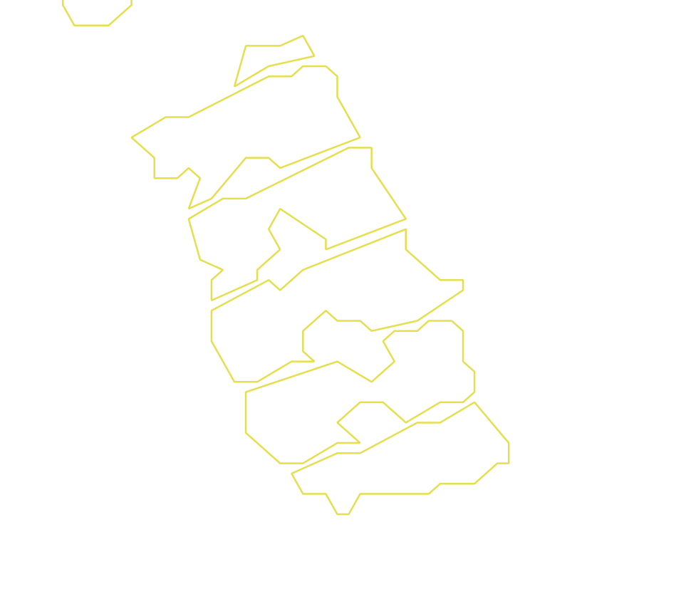 Daksegment ingezoomd met contourlijnen en structuurweergave
