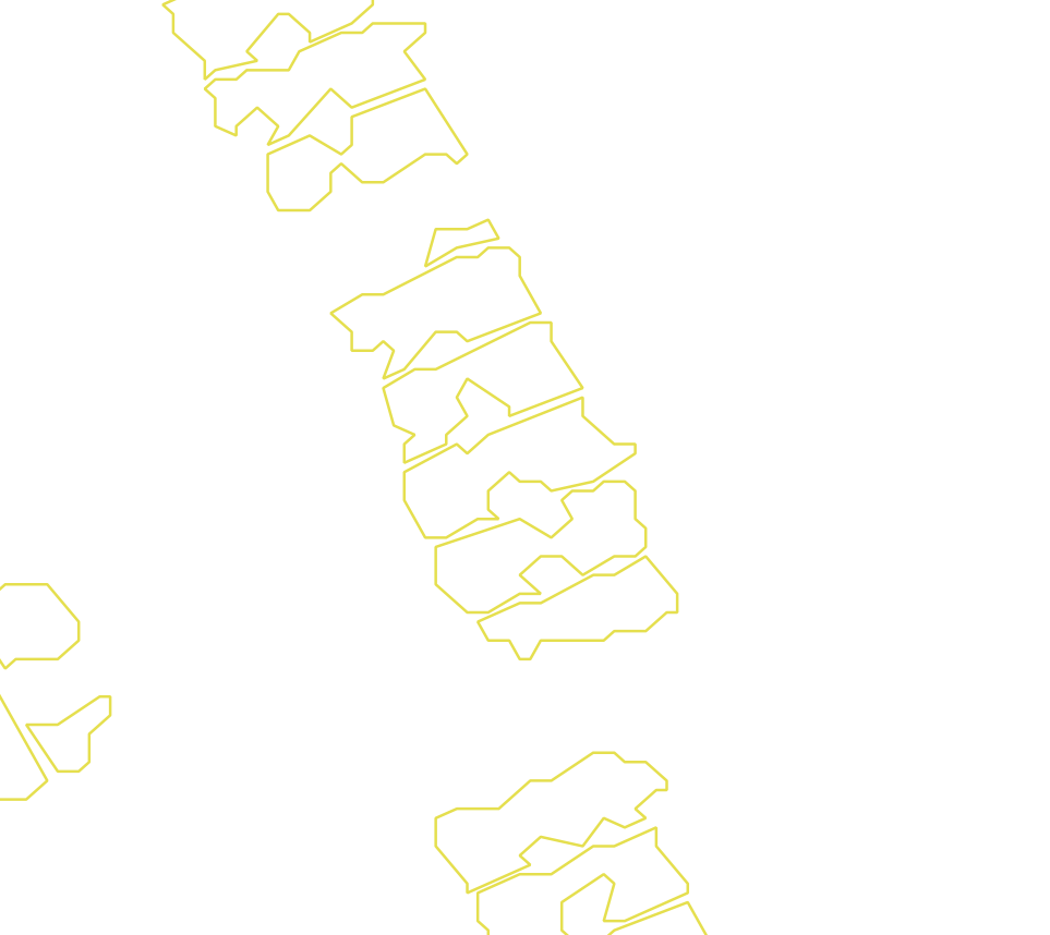 Daksegment met contourlijnen en structuurweergave