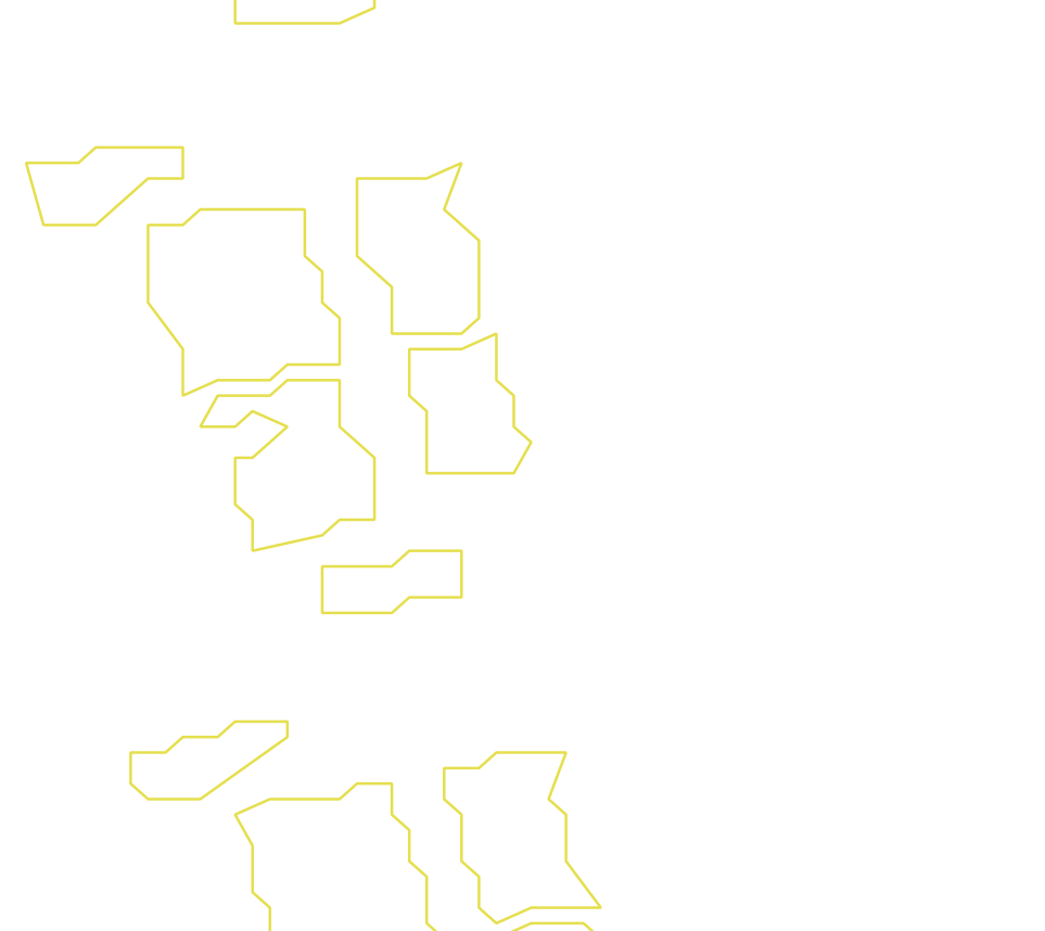 Daksegment ingezoomd met contourlijnen en structuurweergave