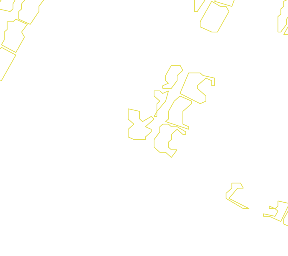 Daksegment met contourlijnen en structuurweergave