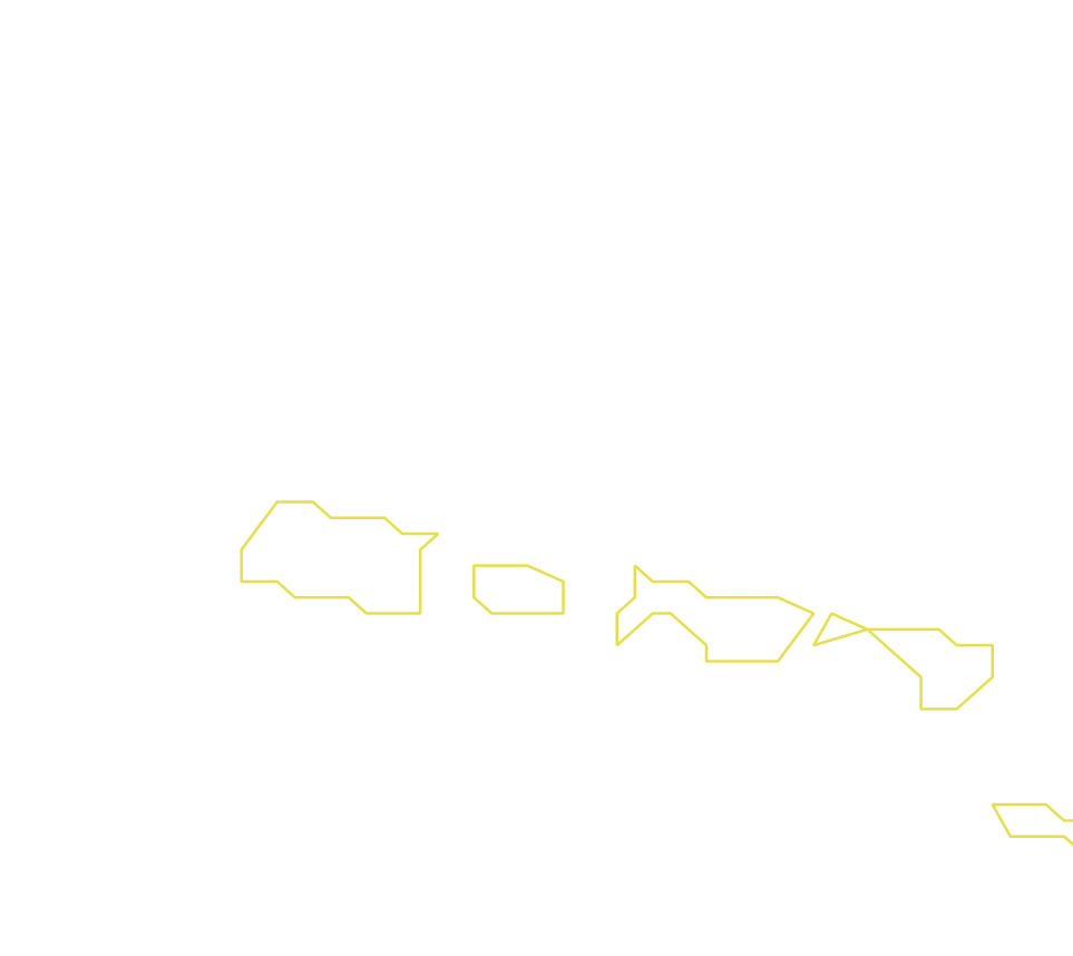 Daksegment ingezoomd met contourlijnen en structuurweergave