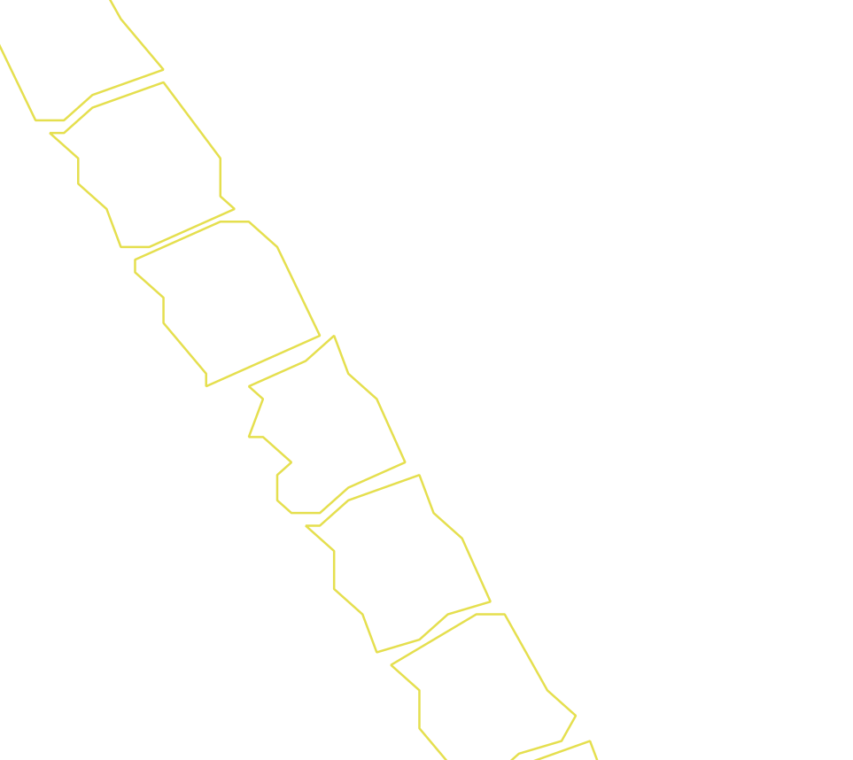 Daksegment ingezoomd met contourlijnen en structuurweergave