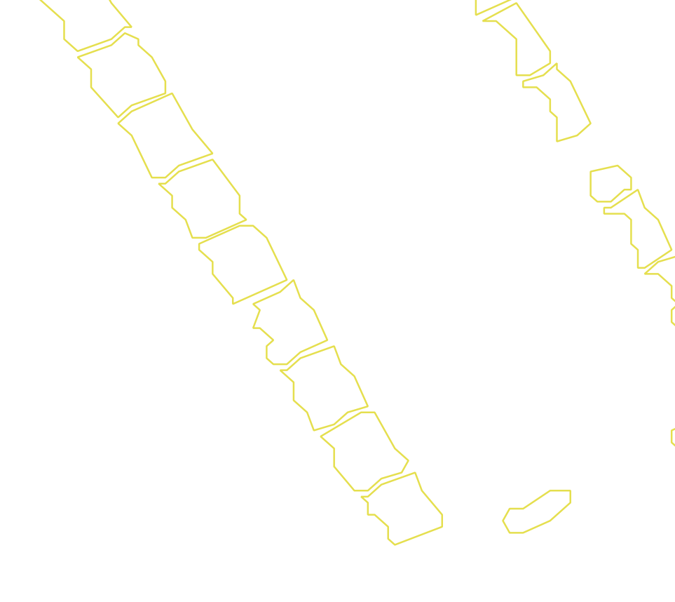 Daksegment met contourlijnen en structuurweergave