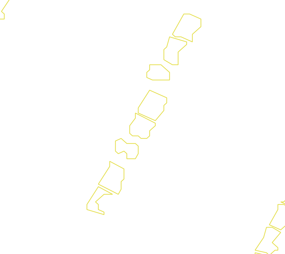 Daksegment met contourlijnen en structuurweergave