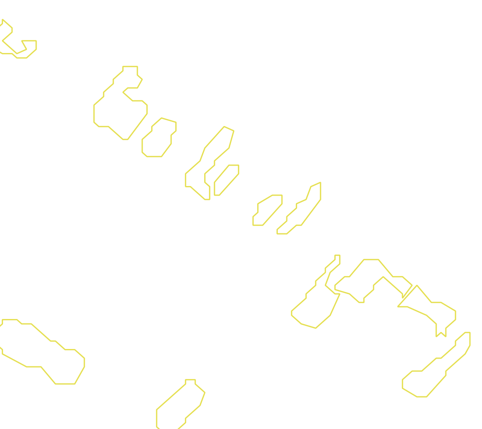 Daksegment met contourlijnen en structuurweergave