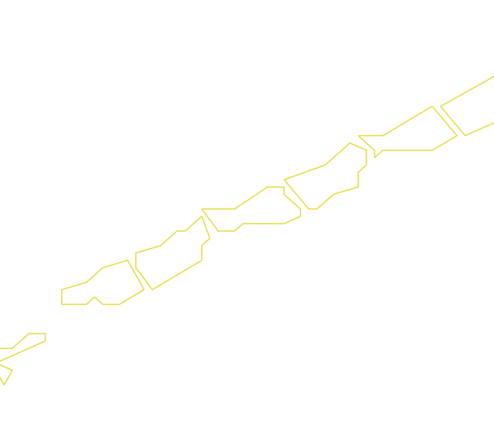 Daksegment ingezoomd met contourlijnen en structuurweergave